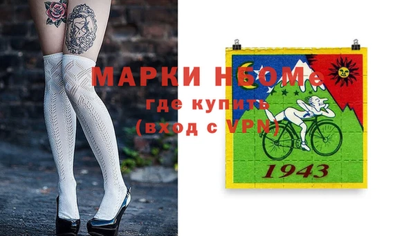 индика Белокуриха