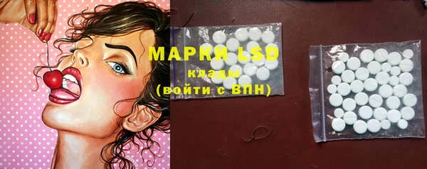 индика Белокуриха