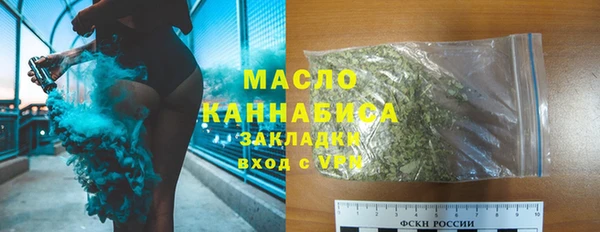 индика Белокуриха