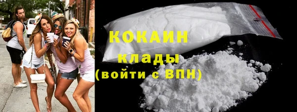 индика Белокуриха